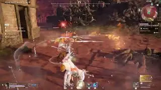 Wall bait