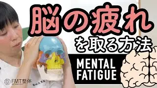 【脳の疲れを取る方法】脳疲労に効果的なタッチケア
