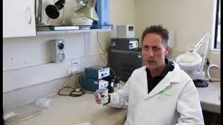Accelerated evolution: a step-change in food fermentation