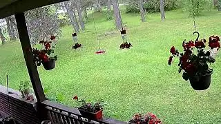 seymour1s Live Stream