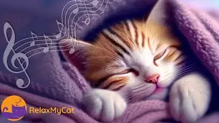 Deep Sleep Music for Cats - Pure Relaxation and Anxiety Relief [TESTED]
