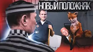 Новый Положняк в Зоне Евро, или Зачем продавать газ за рубли?