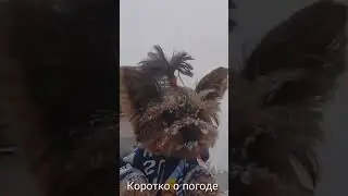 2 февраля 2024 г.