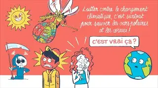 C’est vrai ça – Lutter contre le changement climatique, c’est pour sauver les ours polaires ?