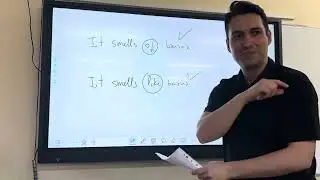 C1. Verbs of the senses
