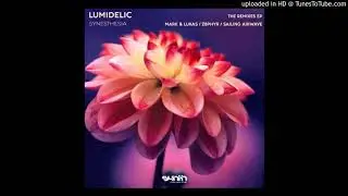 Lumidelic - Synesthesia (Mark & Lukas Remix)