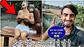 Girls V/S gorilla dance video😀