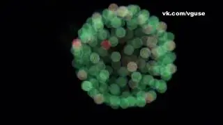 День Победы и Салют (Гусь-Хрустальный 9 мая 2016 года #вГусе)