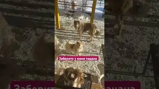 Со Старым Новым Годом Вас. 