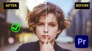 How to Fix NOISY/GRAINY Video - Adobe Premiere Pro 2023 Tutorial