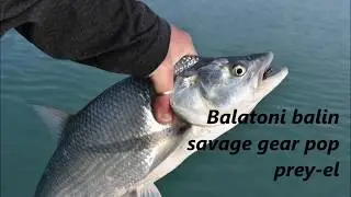 Balatoni balin savage gear pop prey-el