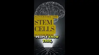 Activating your Stem Cells