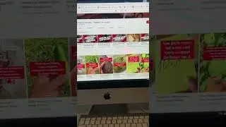 Маг Анисья - отзывы. Шарлатанка обманывает людей.