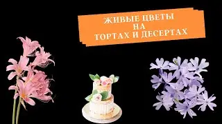 Живые цветы на тортах и десертах