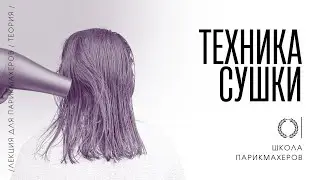 ОНЛАЙН-УРОК «ТЕХНИКА СУШКИ ВОЛОС»