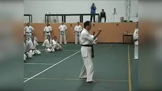 Ката Санчин Но