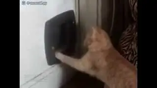 Умри, дьявольская дверь!