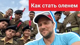Как стать оленем