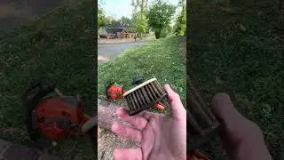 Smashed huskys back in action 
