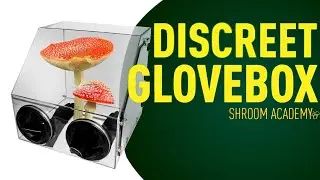 🍄 Shroom Academy discreet glovebox. How make a glove box out of acrylic by yourself.