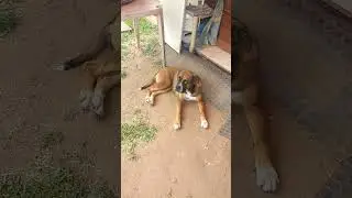 menos uma etapa que conquistei, kkkkk