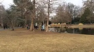 Февраль 2017 г. В Нюрнберге