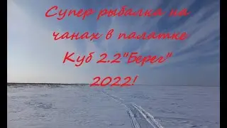 Супер рыбалка на Чанах 2022!Палатка Куб 2.2 