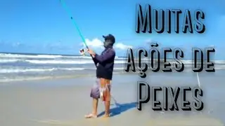 SÓ FOI O TEMPO ABRIR,QUE OS PEIXES APARECERAM.NA PESCA DE PRAIA.