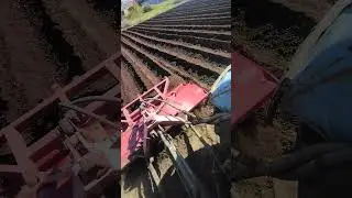 Т-40 с фрезой. И снова пашем, пашем.......