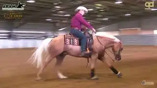 2 show ARAM 2022 - ALFONSETTI FABIO & KEN FIGHTER GREATGAS score 69,5