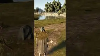 Где найти мох в Bellwright? 