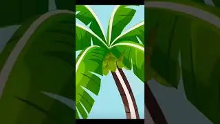 नारियल ke अन्दर पानी kaha से aata हैं,🧐🧐🧐#views #logicalfacts #shortvideos #viralshorts