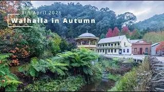 Walhalla Autumn April 2026 | Stunning Autumn Colours in 4K