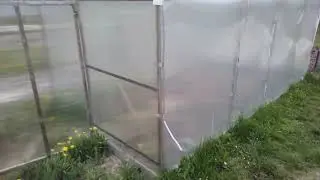 Яичная скорлупа на грядки и в землю под перекопку. раскисление почвы яичной  скорлупой