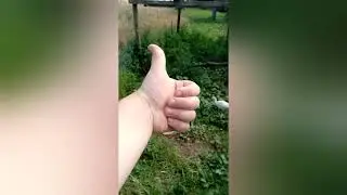 3 серия тучки и тика