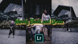 tutorial edit foto moody menggunakan lightroom di android , free download presets moody