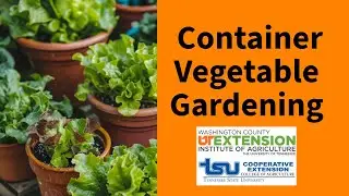 Container Vegetable Gardening
