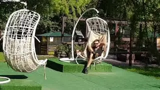 Форэста фестиваль парк обзор отеля. Foresta festival park.