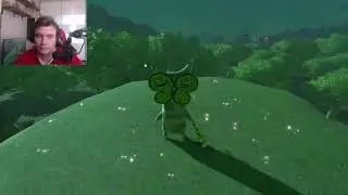 Все Корокские Семечки // Великое Плато // The Legend of Zelda