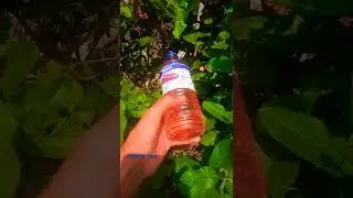 🔥Thinner vs thermocol. Easy science expirement do at home #shorts #m4tech #ebulljet