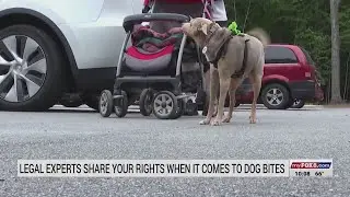 Attorney discusses dog bite laws after dog attack in Greensboro