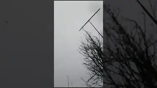 Голуби СВГ Петренко В.Н. ст. Староминская