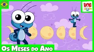 Os Meses do Ano | Bob Zoom l Vídeo Infantil Musical Oficial 
