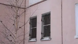 ВОРОБЬИ У ОКНА Футаж
