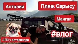 🇹🇷 Отвезли к ветеринару / САМИ ПОЕХАЛИ на ШАШЛЫКИ #мопсы #анталия #пикник