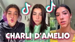 Charli D'amelio New TikTok Compilation (October 2020)
