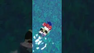 HIRE A LIFEGUARD! 