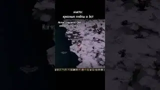 Красные пчëлы в Don't starve - нарезки с видео Havaron GM 