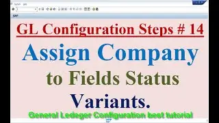 GL Configuration Steps #14 Assign Company Code to Field Status Variants