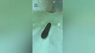 True Skate #2